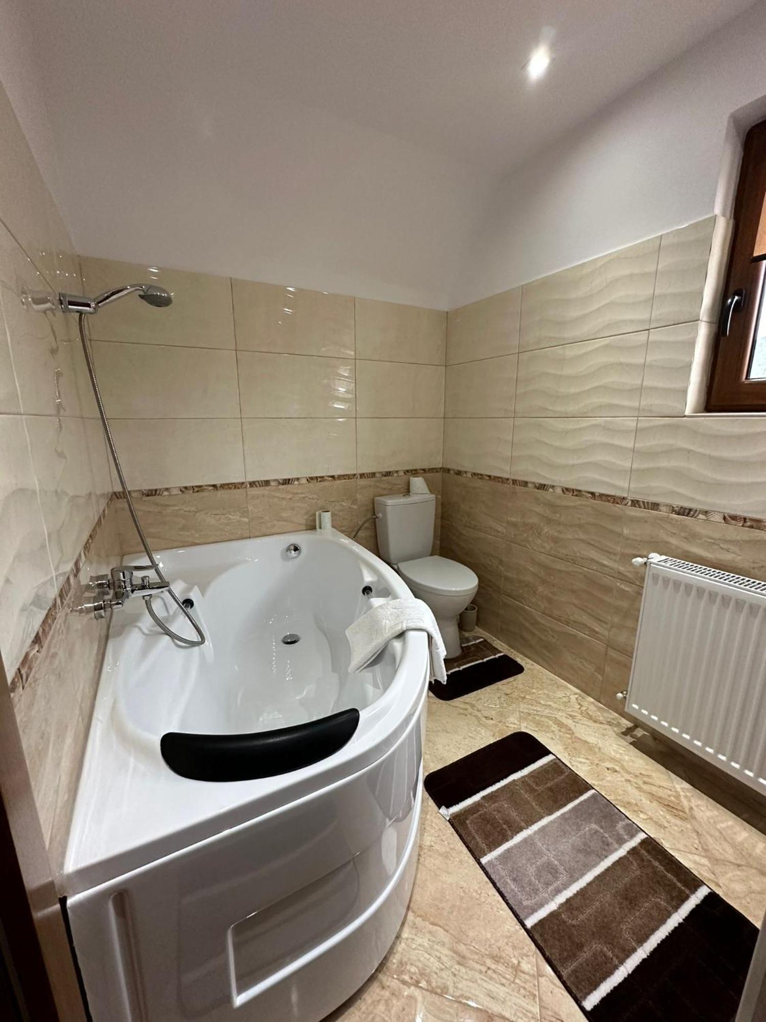 Casa Dacului Hotel Petrova Екстериор снимка